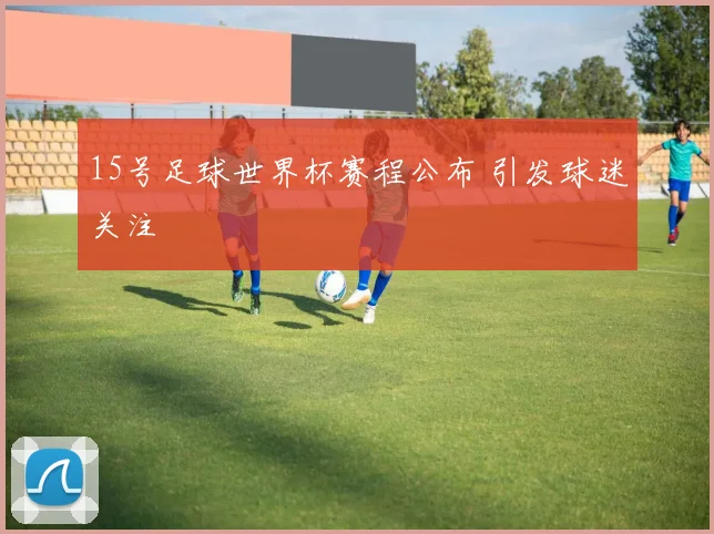15号足球世界杯赛程公布 引发球迷关注